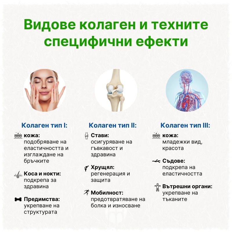 (Bulharština)